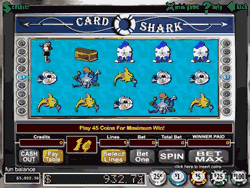 Card Shark Slots